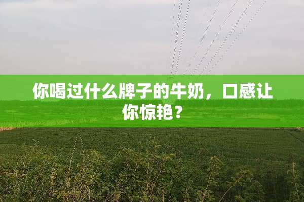 你喝过什么牌子的牛奶，口感让你惊艳？