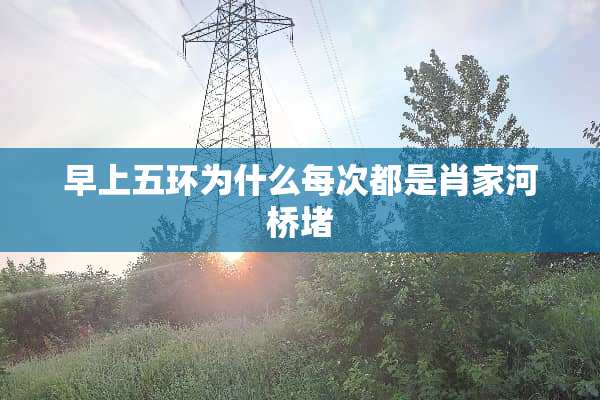 早上五环为什么每次都是肖家河桥堵