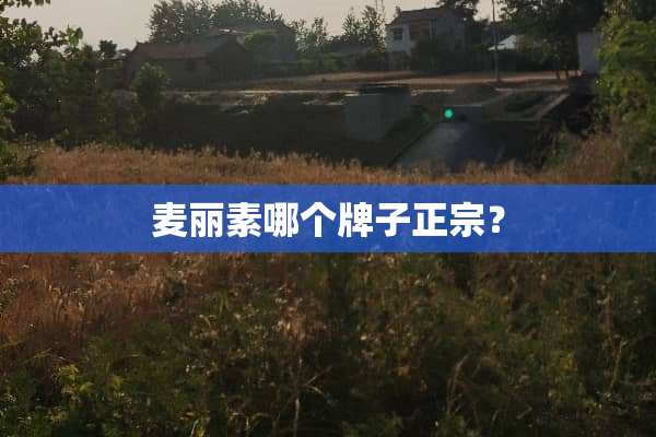 麦丽素哪个牌子正宗？