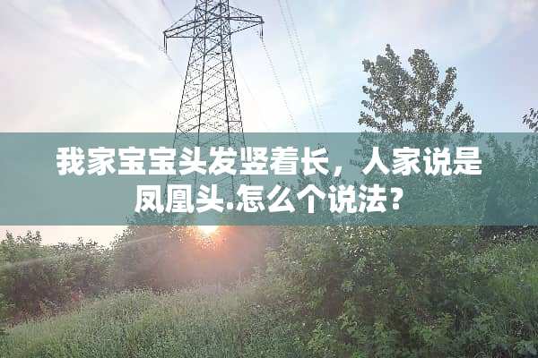 我家宝宝头发竖着长，人家说是凤凰头.怎么个说法？