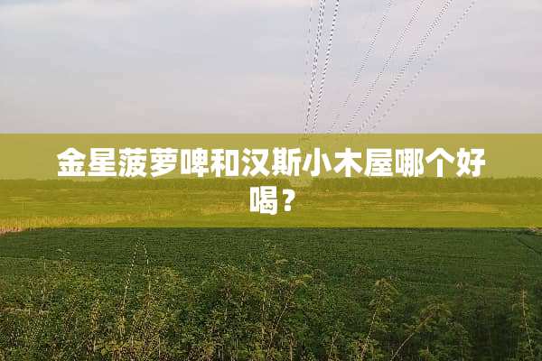 金星菠萝啤和汉斯小木屋哪个好喝？