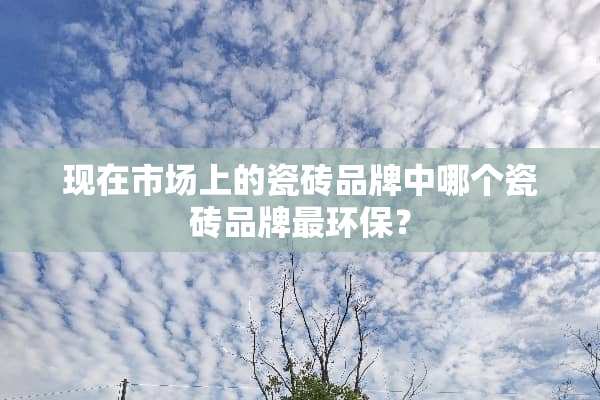 现在市场上的瓷砖品牌中哪个瓷砖品牌最环保？