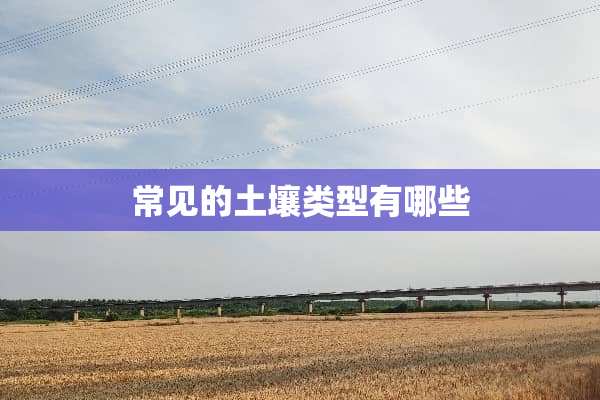常见的土壤类型有哪些