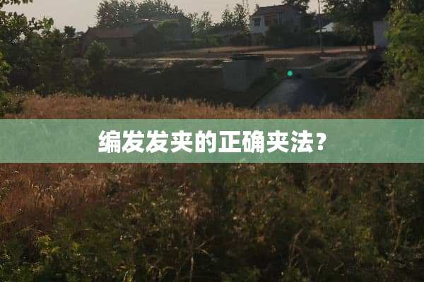 编发发夹的正确夹法？
