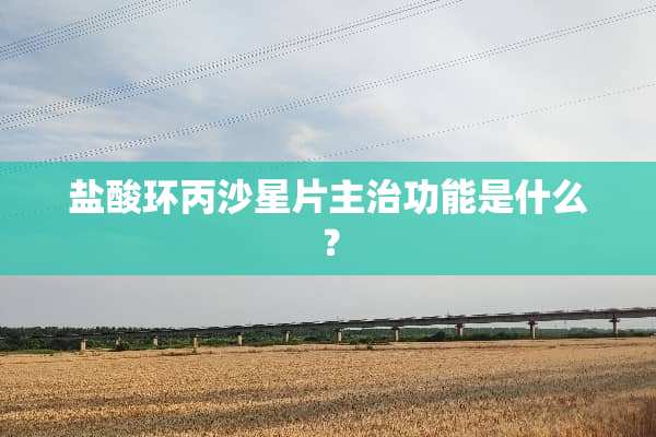 **环丙沙星片主治功能是什么？