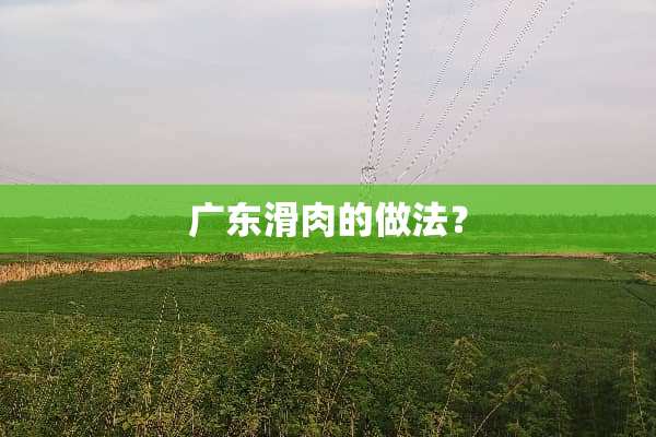 广东滑肉的做法？