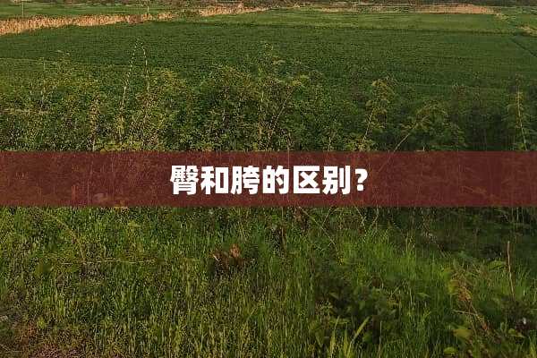 臀和胯的区别？