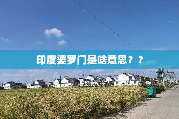 印度婆罗门是啥意思？？