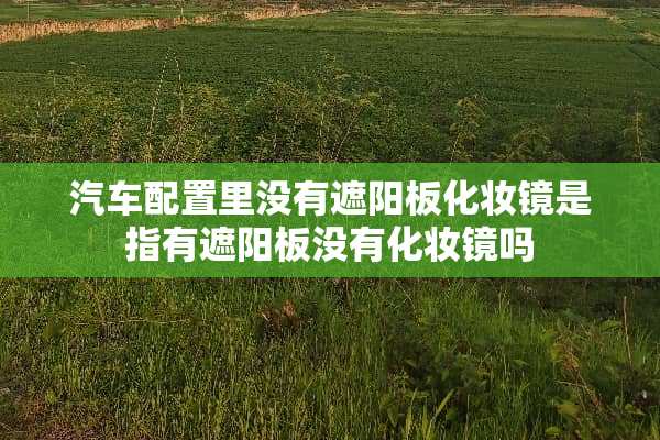 汽车配置里没有遮阳板化妆镜是指有遮阳板没有化妆镜吗