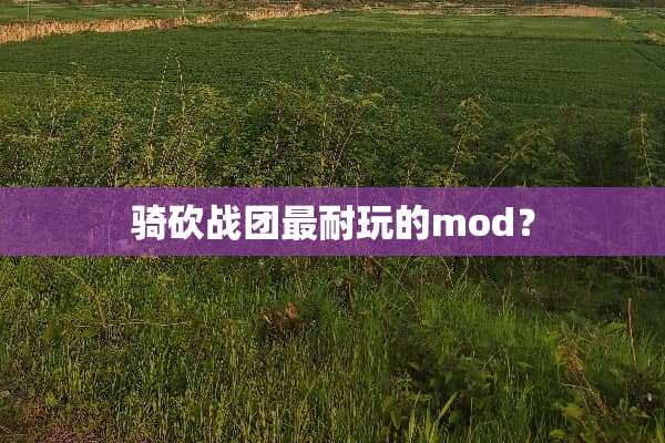 骑砍战团最耐玩的mod？