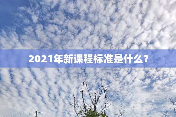 2021年新课程标准是什么？