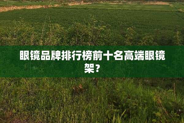眼镜品牌排行榜前十名高端眼镜架？