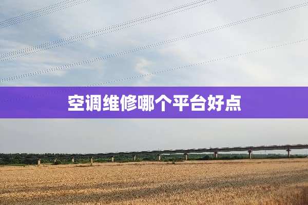空调维修哪个平台好点