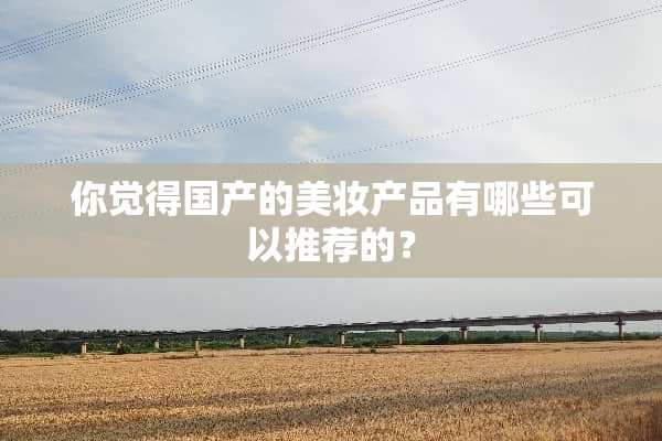 你觉得国产的美妆产品有哪些可以推荐的？