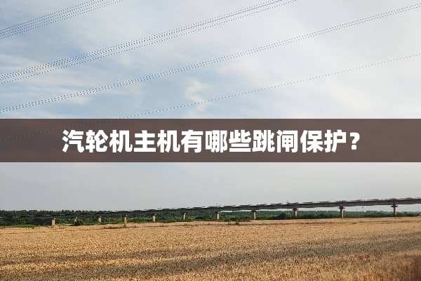 汽轮机主机有哪些跳闸保护？