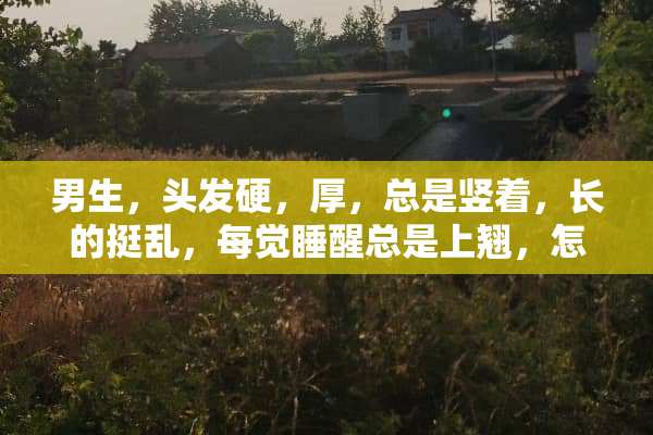 男生，头发硬，厚，总是竖着，长的挺乱，每觉睡醒总是上翘，怎么办啊，很难看？