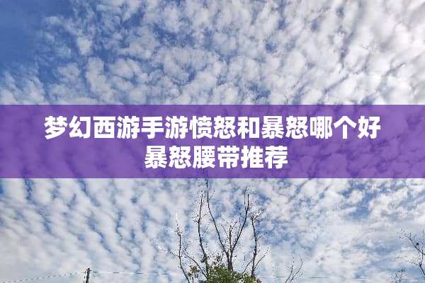 梦幻西游手游愤怒和暴怒哪个好 暴怒腰带推荐