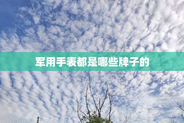 **手表都是哪些牌子的