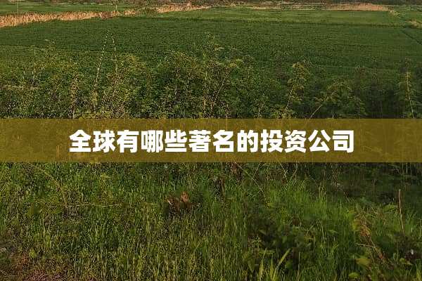 全球有哪些著名的投资公司