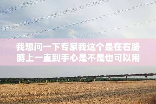 我想问一下专家我这个是在右胳膊上一直到手心是不是也可以用这个胡克蛇七号呀？