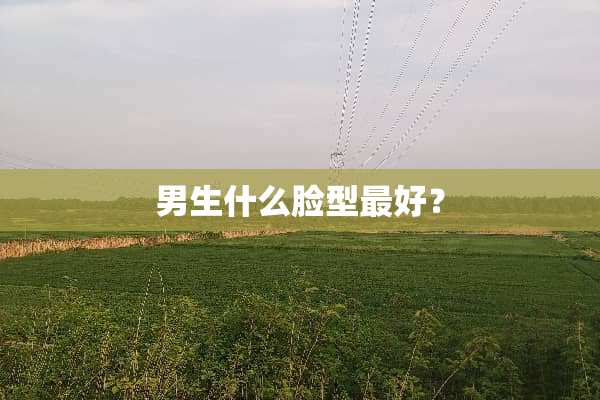 男生什么脸型最好？