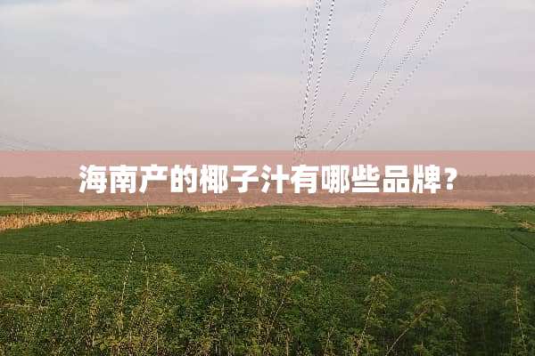 海南产的椰子汁有哪些品牌？