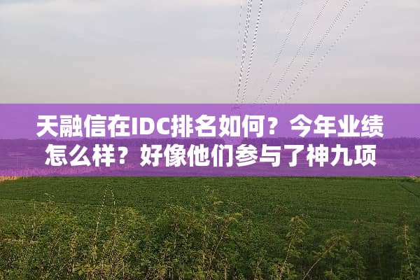 天融信在IDC排名如何？今年业绩怎么样？好像他们参与了神九项目.