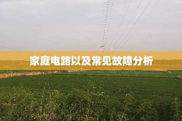 家庭电路以及常见故障分析