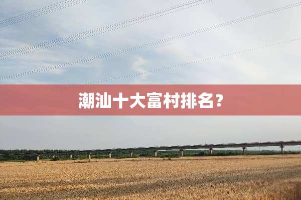 潮汕十大富村排名？