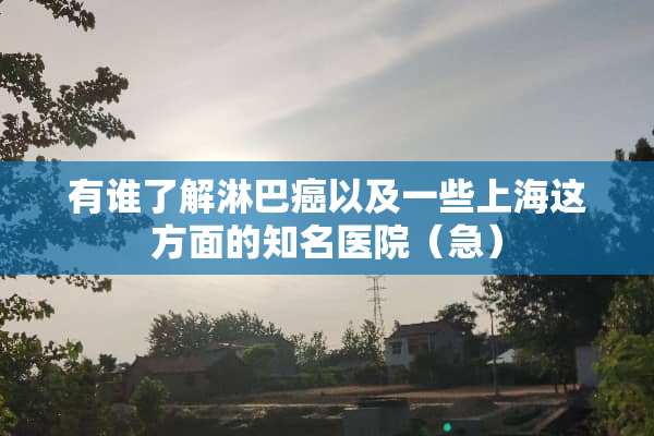 有谁了解淋巴癌以及一些上海这方面的知名医院（急）