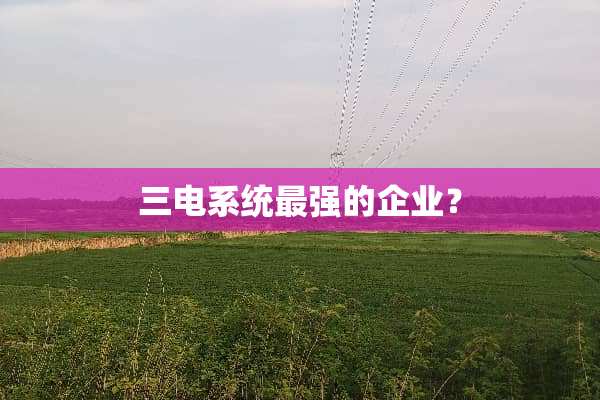 三电系统最强的企业？