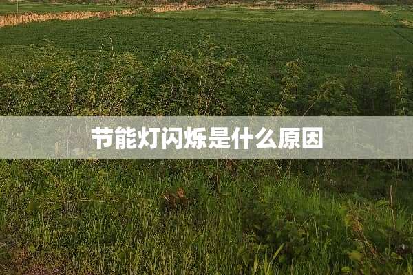节能灯闪烁是什么原因