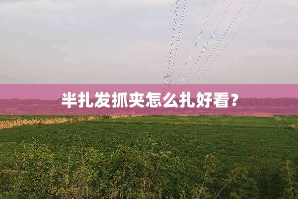 半扎发抓夹怎么扎好看？