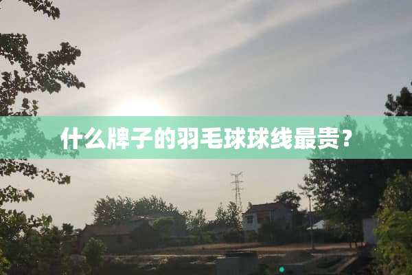 什么牌子的羽毛球球线最贵？