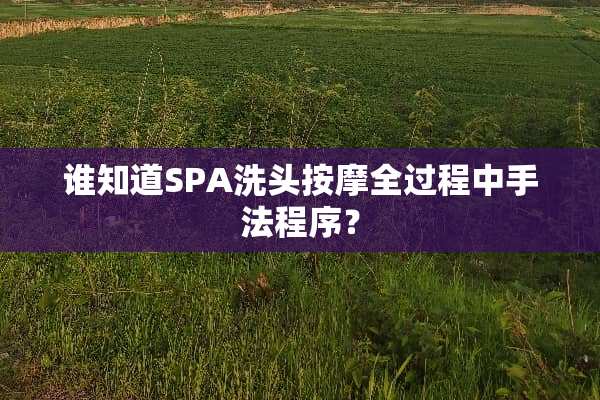 谁知道SPA洗头按摩全过程中手法程序？