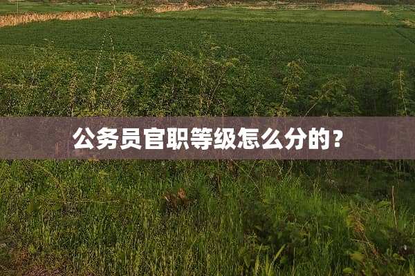 公务员官职等级怎么分的？