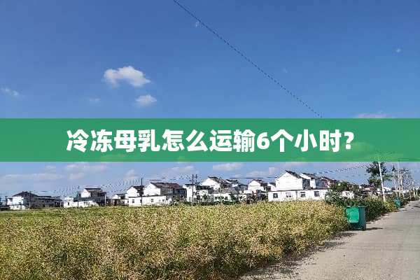 冷冻母*怎么运输6个小时？
