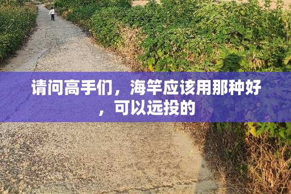 请问高手们，海竿应该用那种好，可以远投的