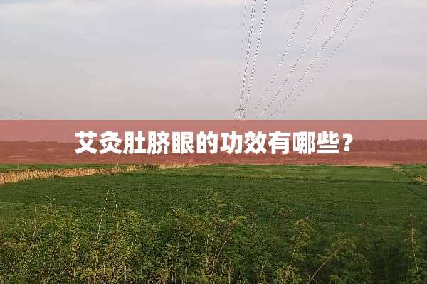 艾灸肚脐眼的功效有哪些？