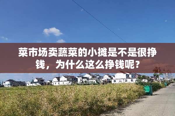 菜市场卖蔬菜的小摊是不是很挣钱，为什么这么挣钱呢？