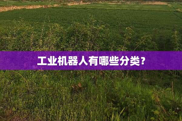 工业机器人有哪些分类？