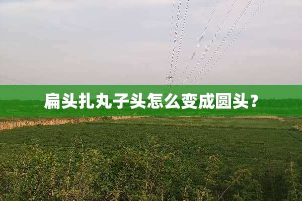 扁头扎丸子头怎么变成圆头？