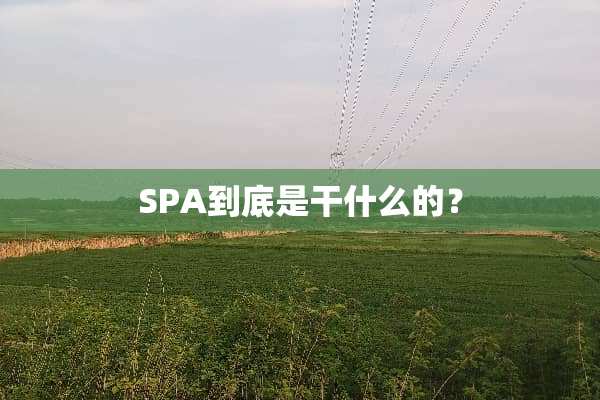 SPA到底是干什么的？