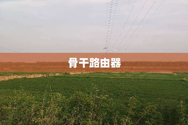 骨干路由器