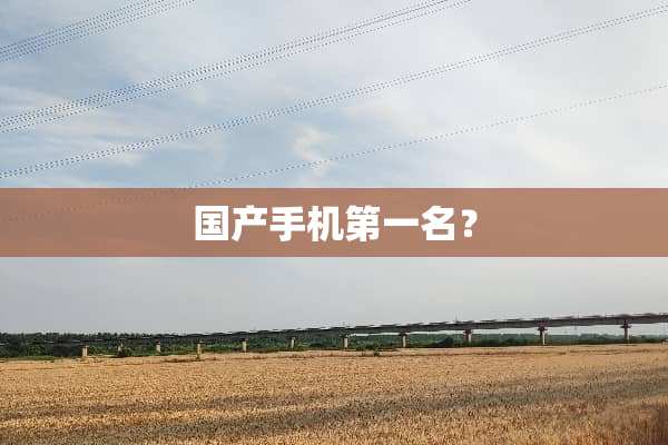 国产手机第一名？