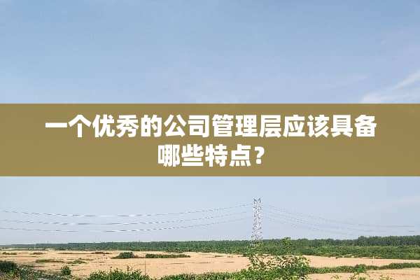 一个优秀的公司管理层应该具备哪些特点？