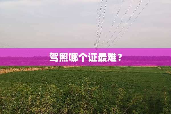 驾照哪个证最难？