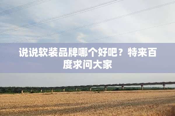 说说软装品牌哪个好吧？特来百度求问大家