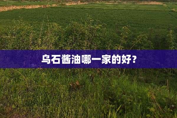 乌石酱油哪一家的好？