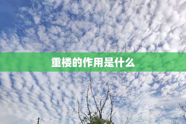 重楼的作用是什么